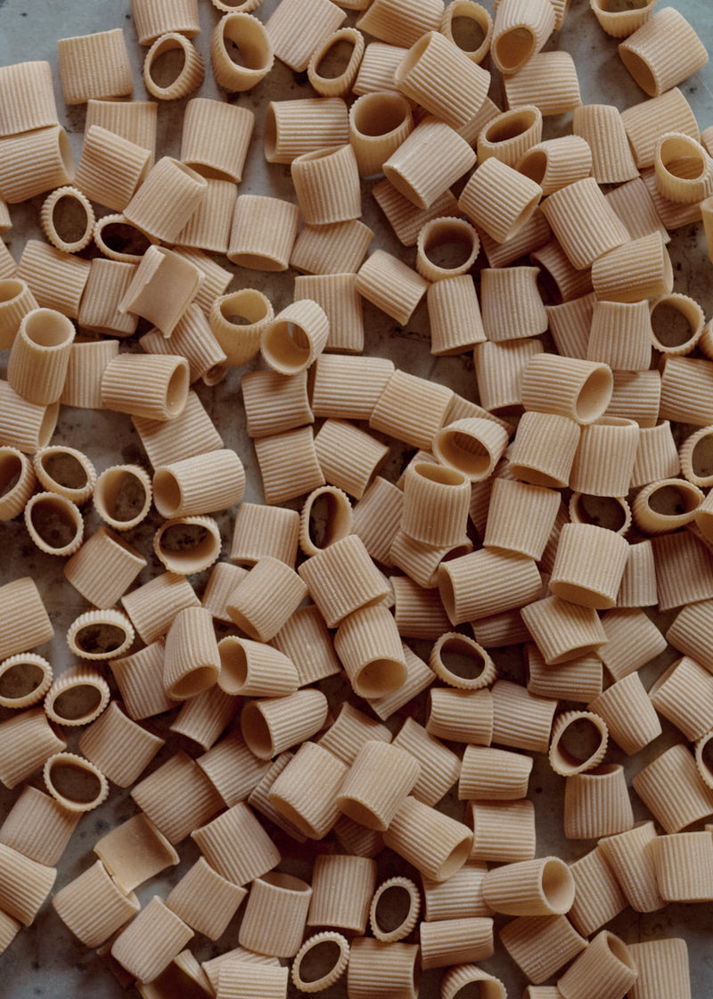 Rigatoni Spelt Pasta