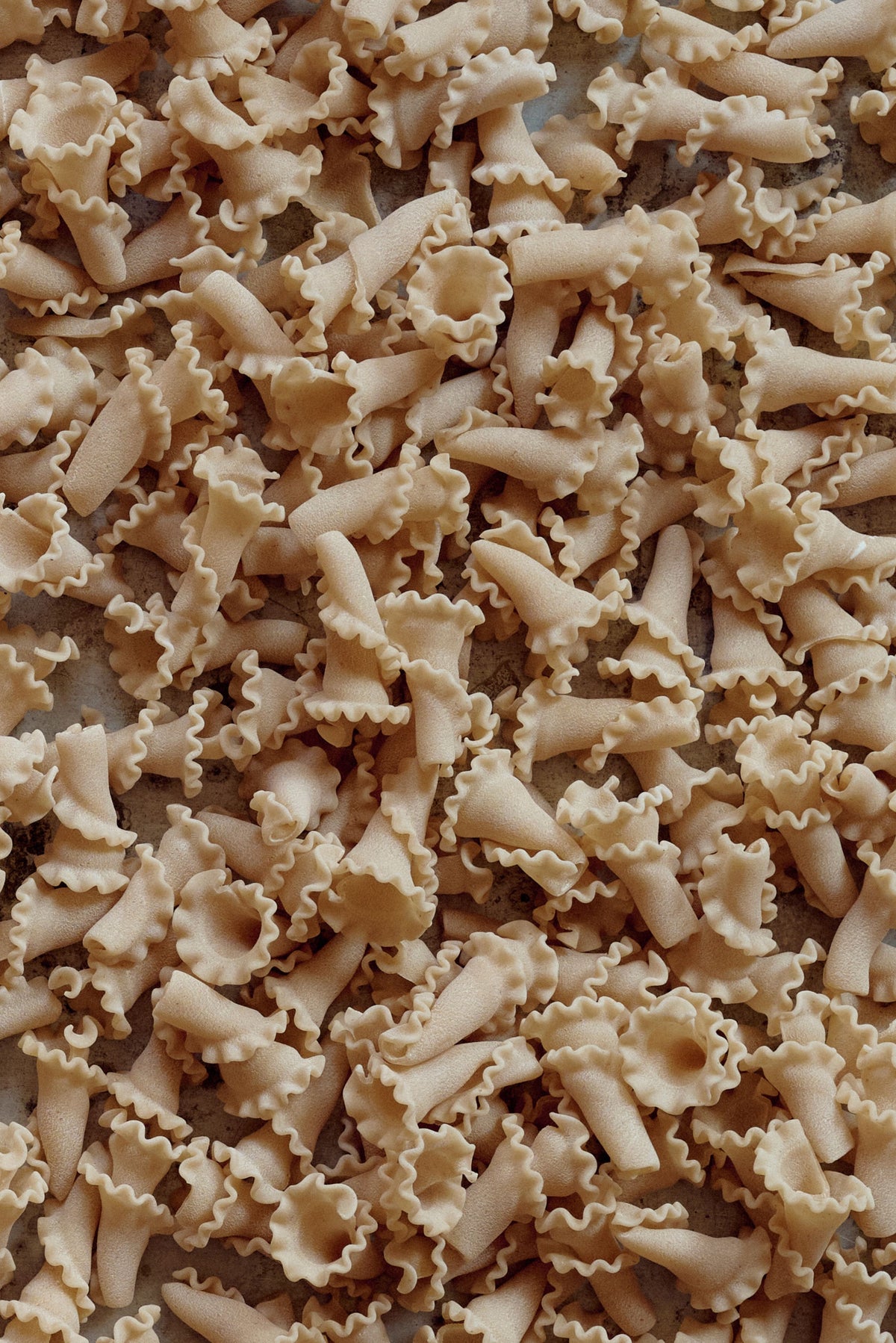 Gigli Spelt Pasta