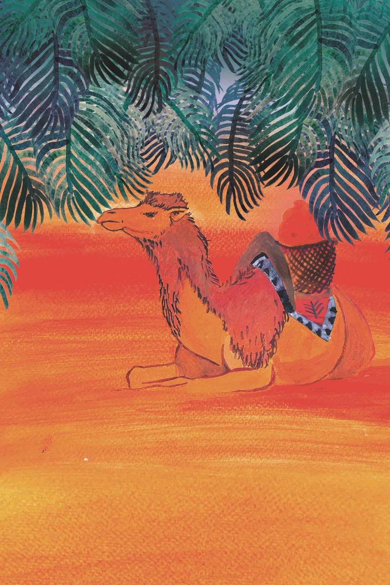 Lamb & Apricot Tagine