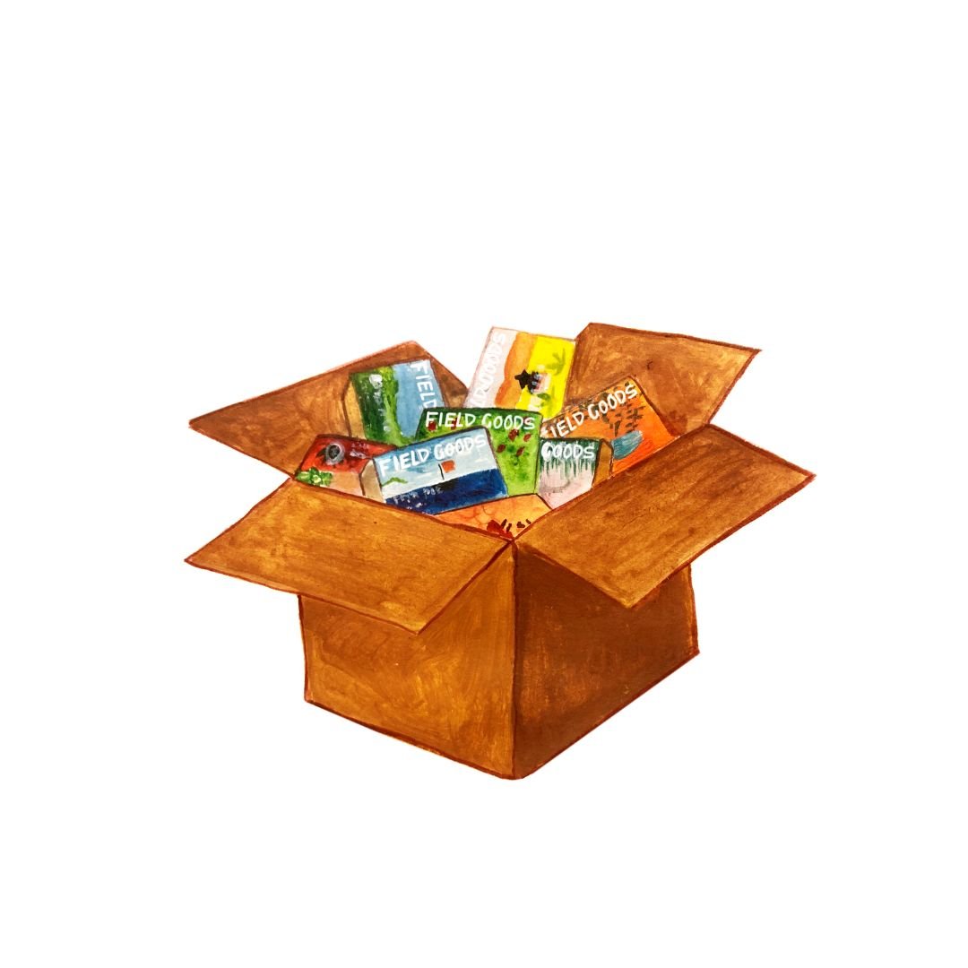 Regular Bundle - FieldGoods